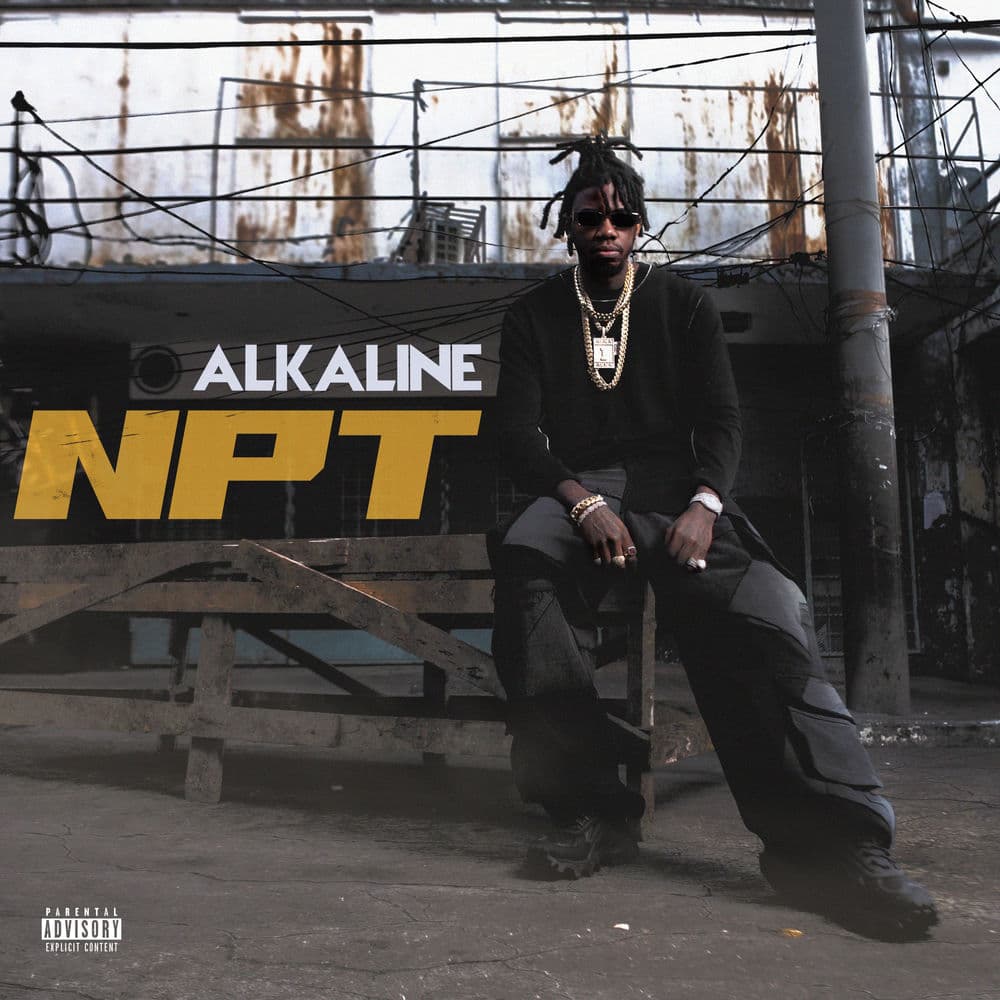 NPT by Alkaline