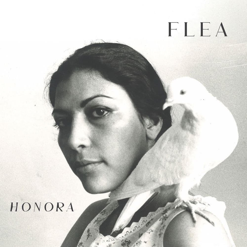 Honora by Flea