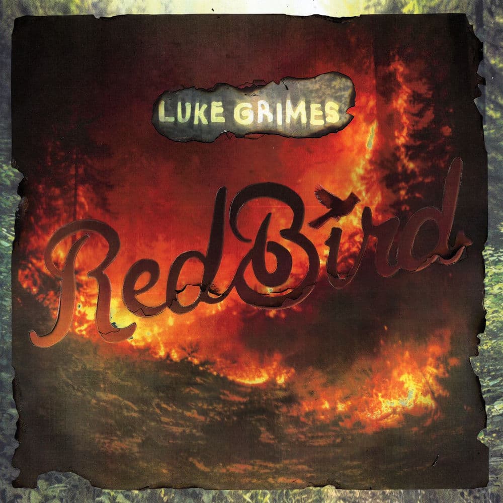 Red Bird by Luke Grimes