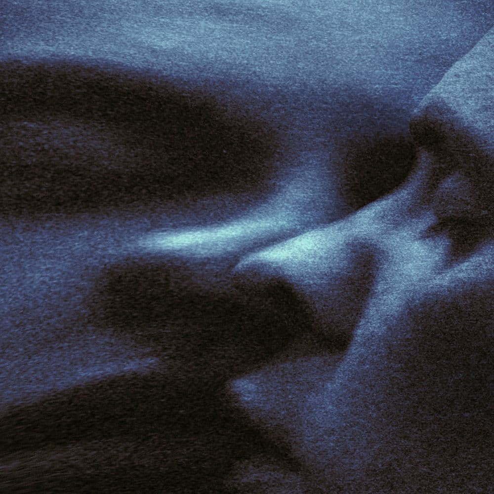 Croak Dream by Puma Blue