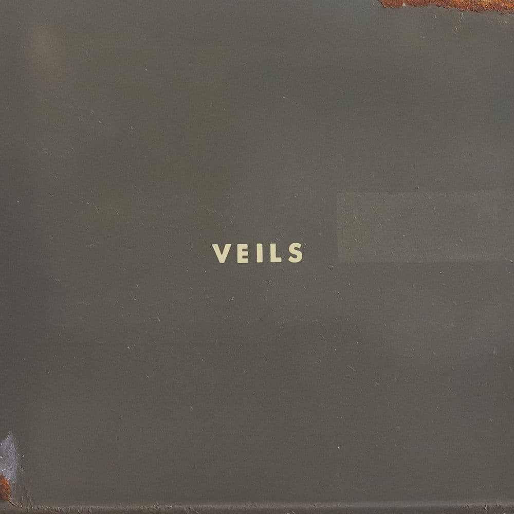 Veils by Vanessa Carlton