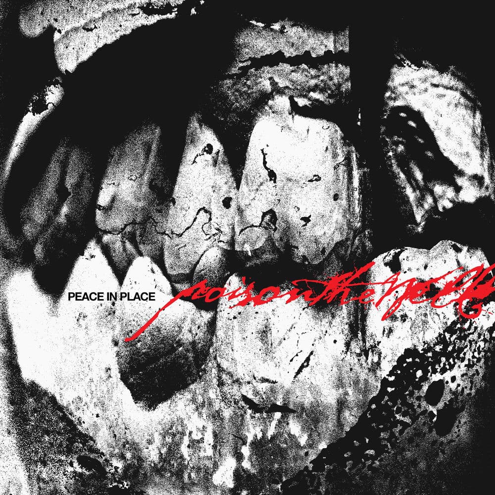Peace In Place by Poison the Well