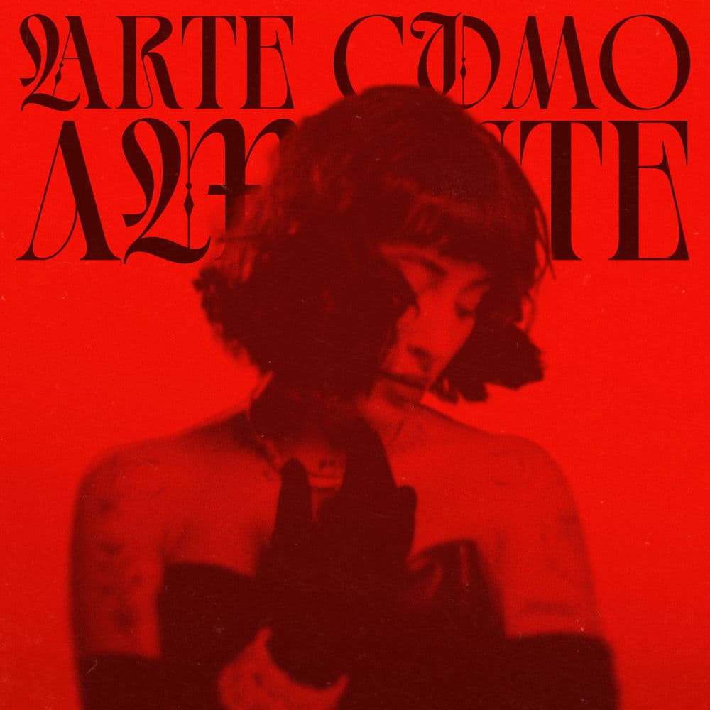 Arte Como Amante by Indira Paganotto