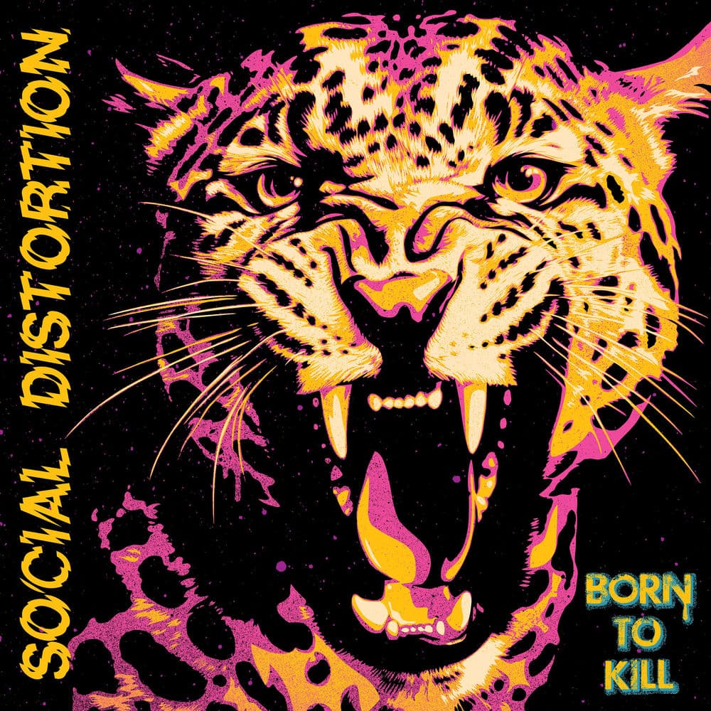 Born To Kill by Social Distortion