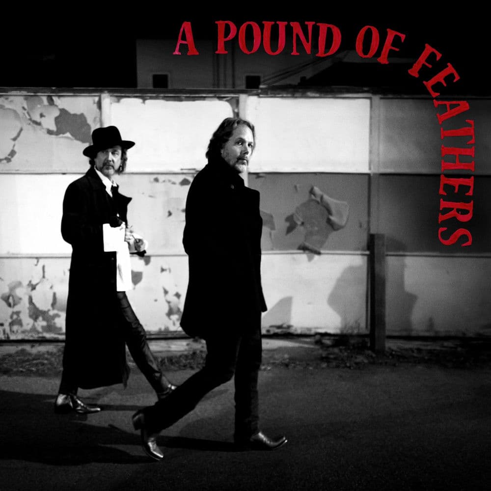 A Pound of Feathers by The Black Crowes