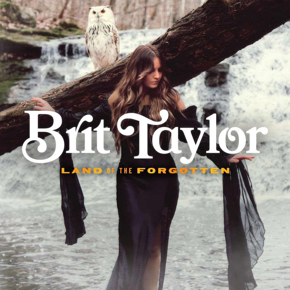 Land Of The Forgotten by Brit Taylor