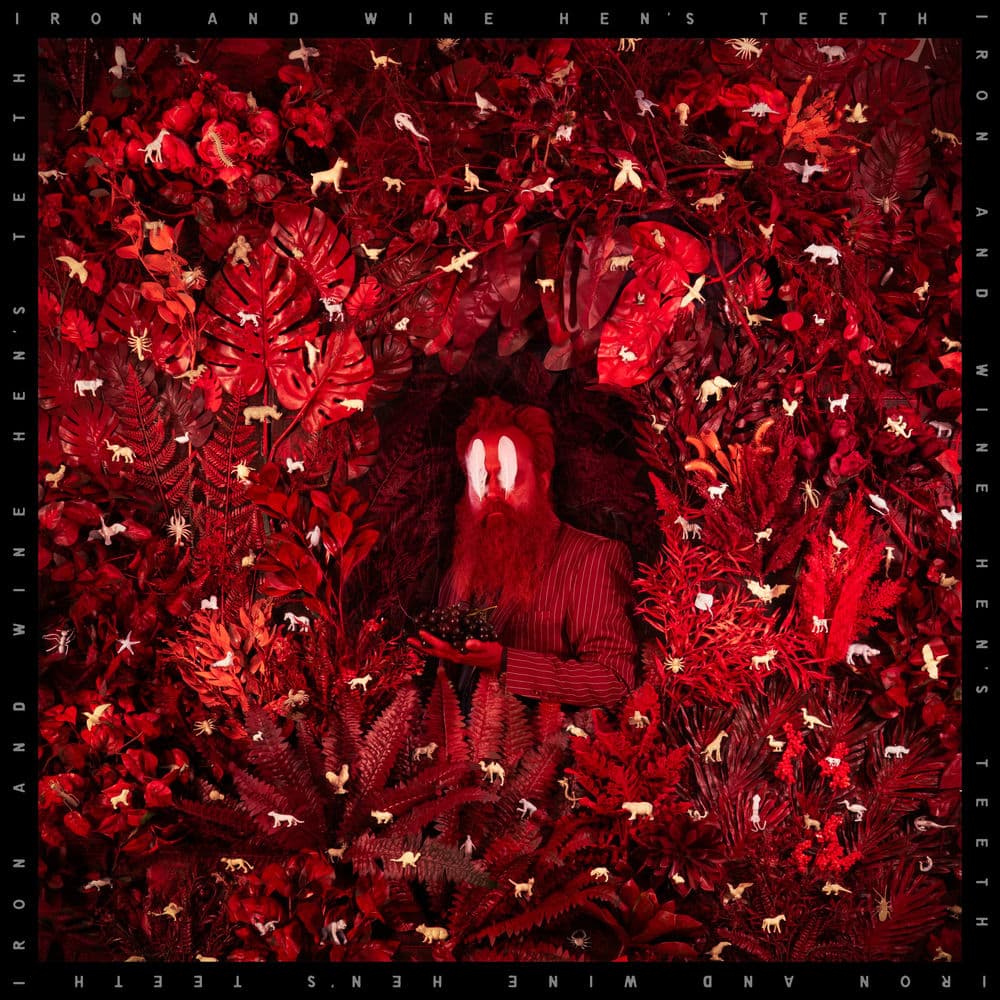 Hen's Teeth by Iron & Wine