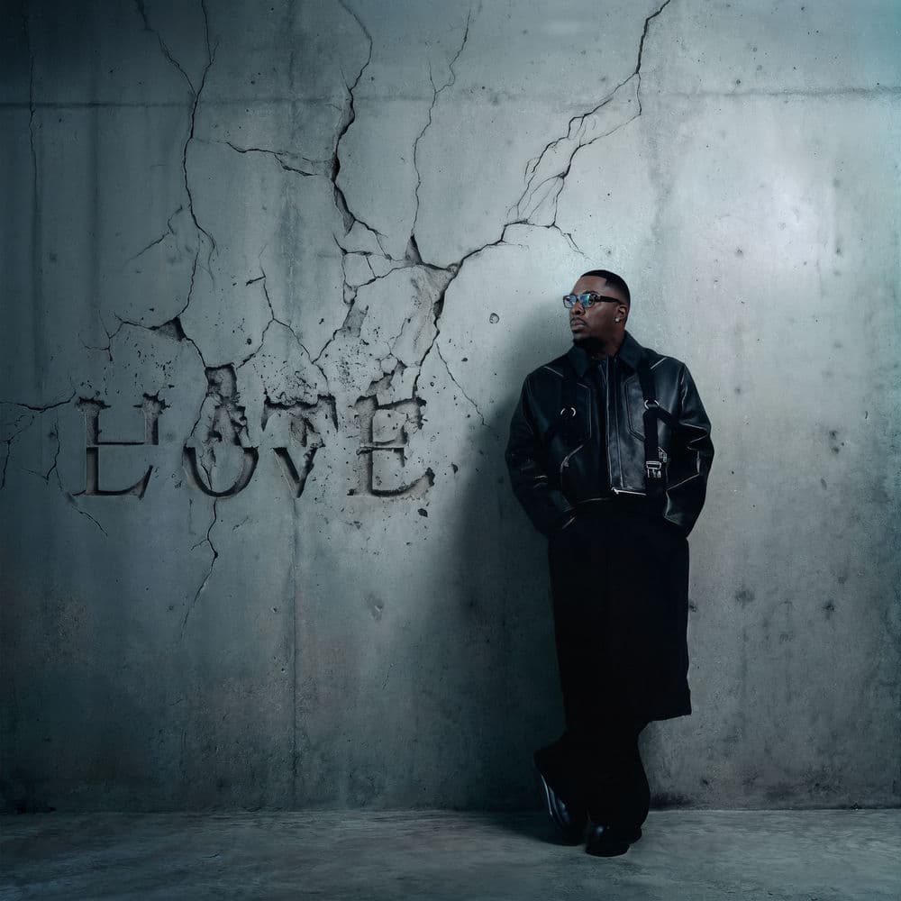 HateLove by Joé Dwet Filé
