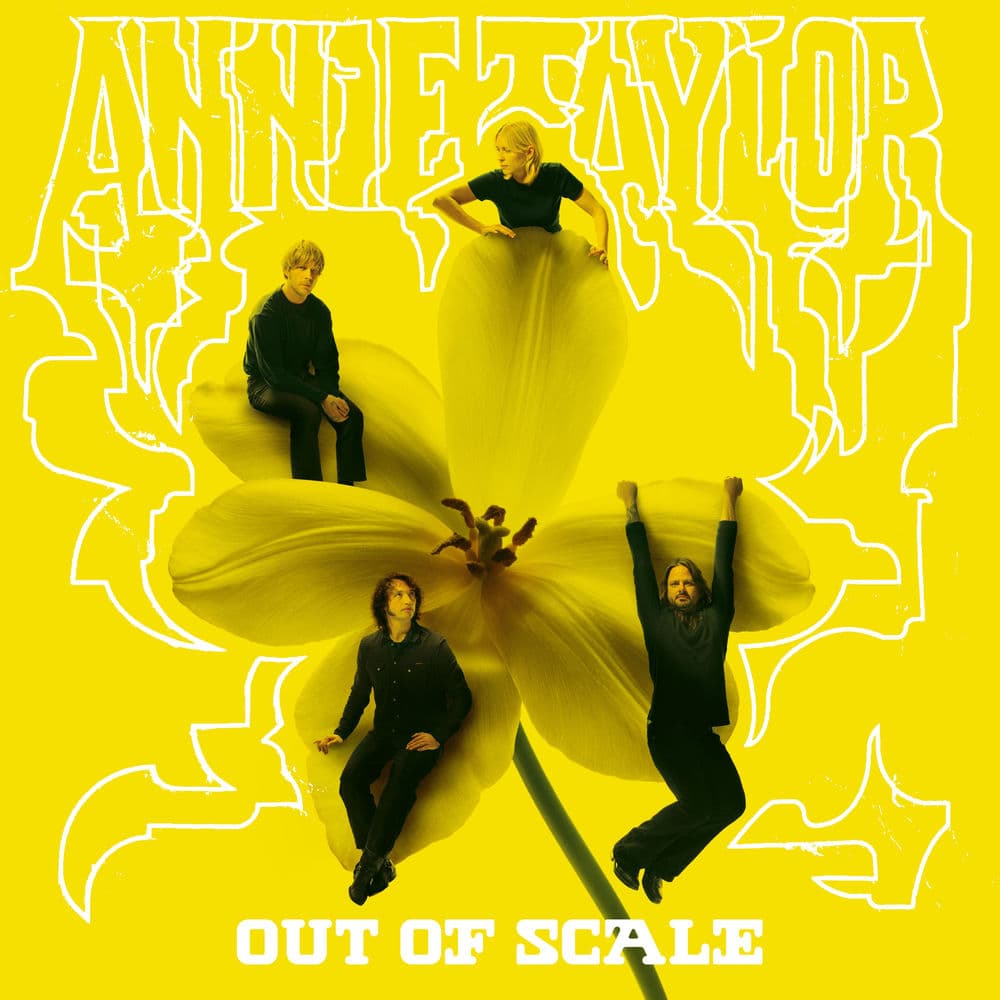 Out Of Scale by Annie Taylor