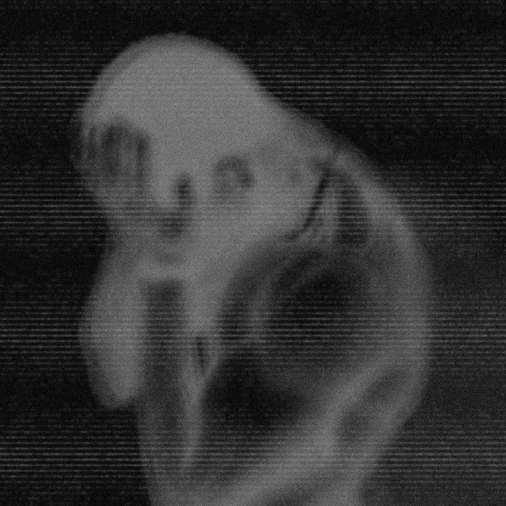 All Fxr Nxthing by Scarlxrd